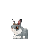 Bunny