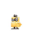 Desert Chick