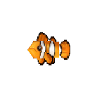 Clownfish