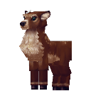 Doe