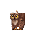 Brown Owl