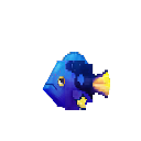 Blue Tang